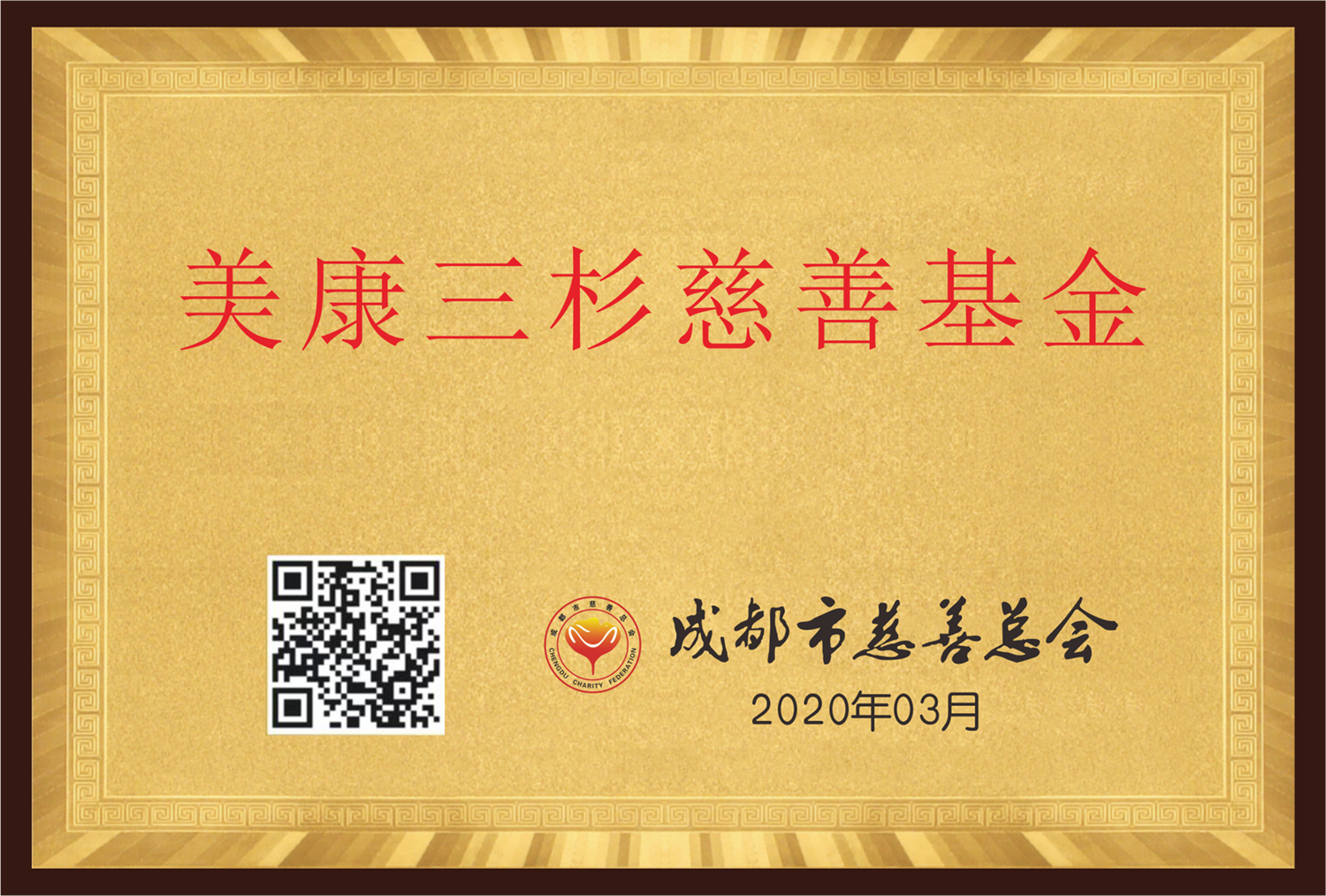 2020年成立成都市慈善总会美康三杉慈善基金